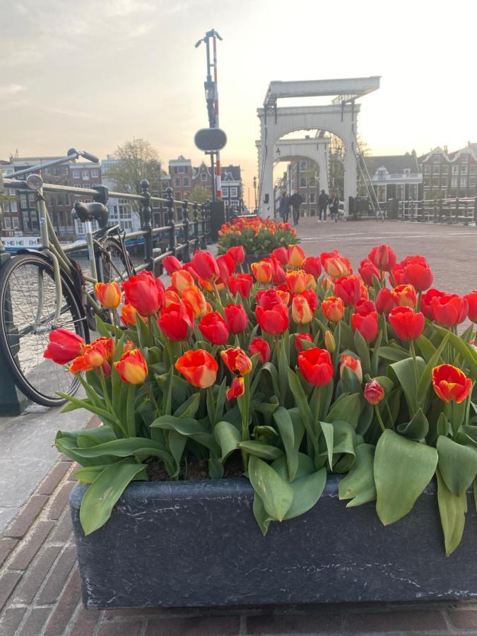 Amstel Boutique Studio Amsterdam Zewnętrze zdjęcie